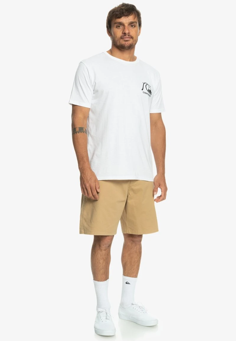 Quiksilver FREEDOM - Shorts - Plage 4 Quiksilver FREEDOM - Shorts - Plage – Bild 2