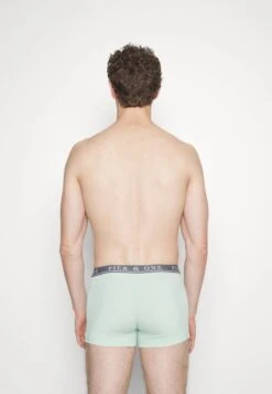 Pier One 5 PACK - Panties - Beige/light Green/black 9 Pier One 5 PACK - Panties - Beige/light Green/black -Modekleidung 8ca08567e3b4472492608736501a3431